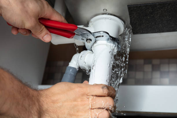 Best Flood restoration services  in Kula, HI