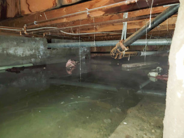 Sewage cleanup and water damage restoration in HI