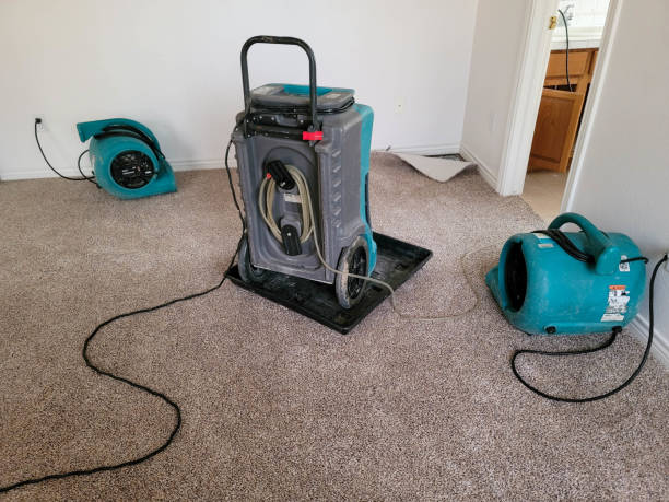 Best Carpet water damage restoration  in Kula, HI