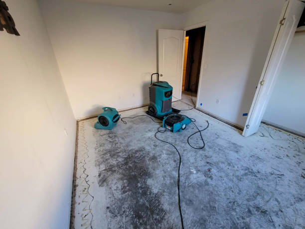  Kula, HI Water damage restoration Pros