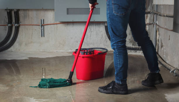 Best Water damage restoration cost  in Kula, HI