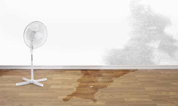 Best Residential water damage restoration  in Kula, HI