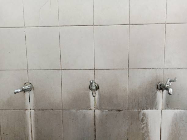 Best Emergency water damage restoration  in Kula, HI