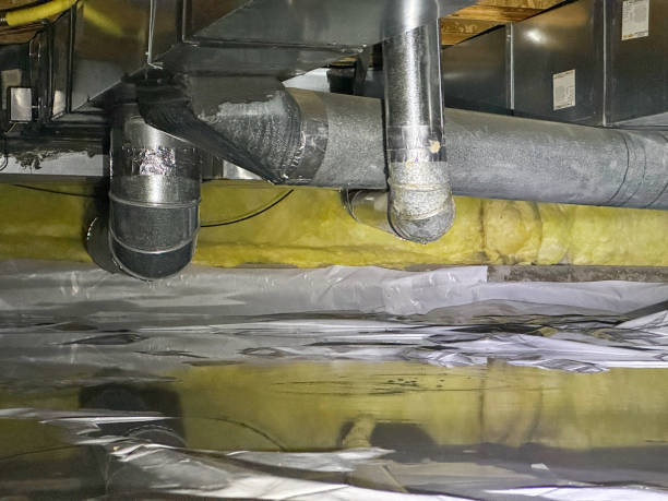 Best Water damage restoration company  in Kula, HI