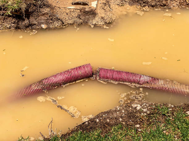 Best Sewage cleanup and water damage restoration  in Kula, HI