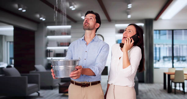 Best Professional water damage repair  in Kula, HI