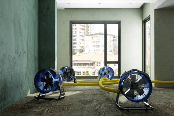 Best Ceiling water damage repair  in Kula, HI
